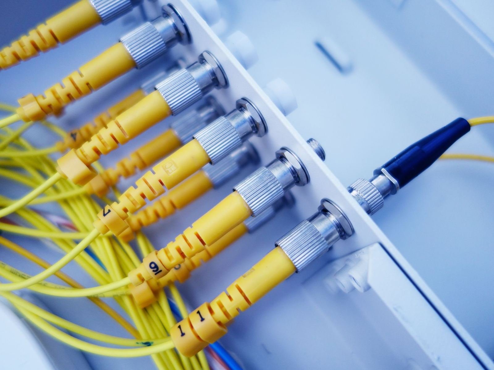Network cables connected to a switch