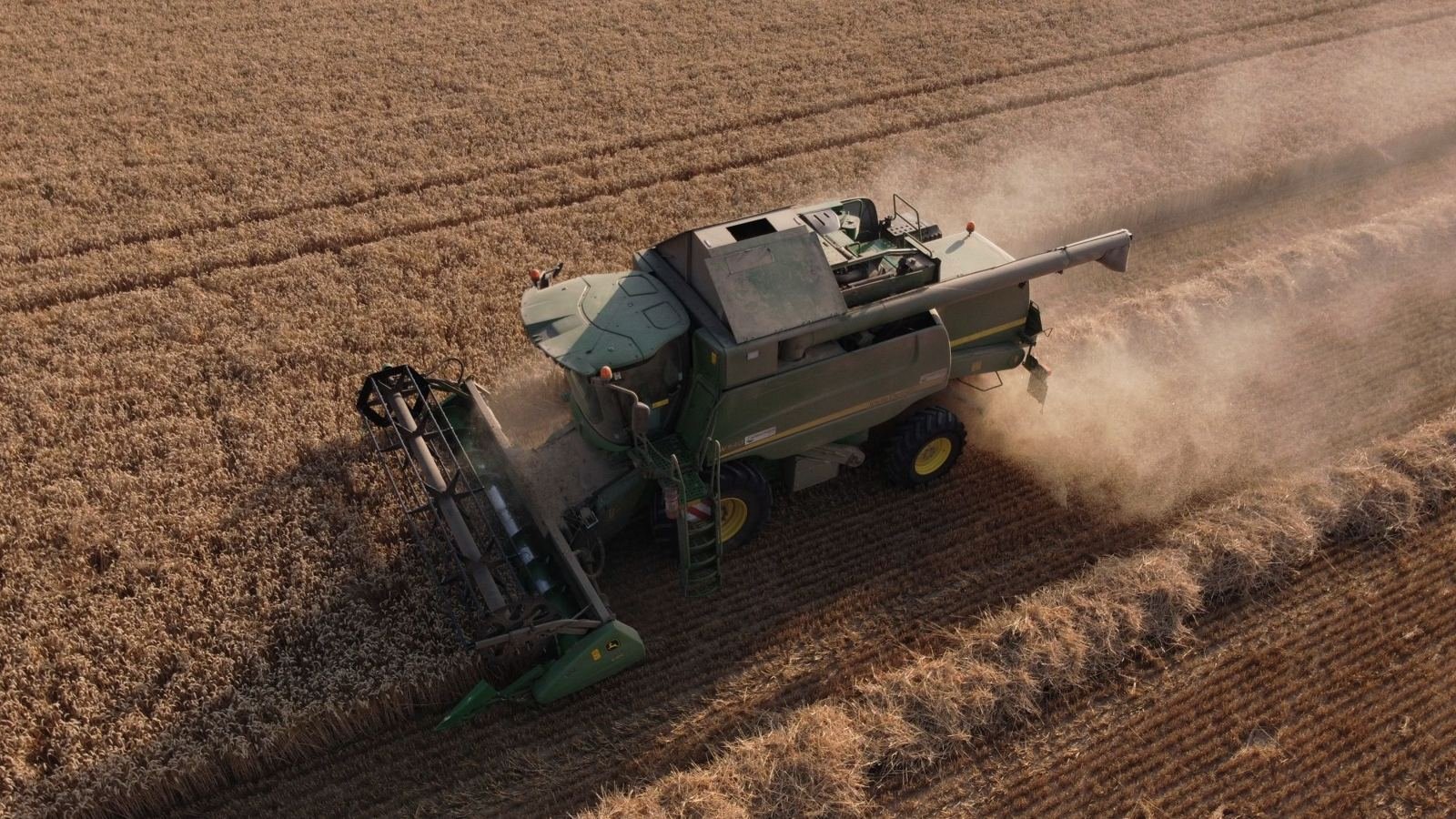 Combine harvester working a dry wheat field