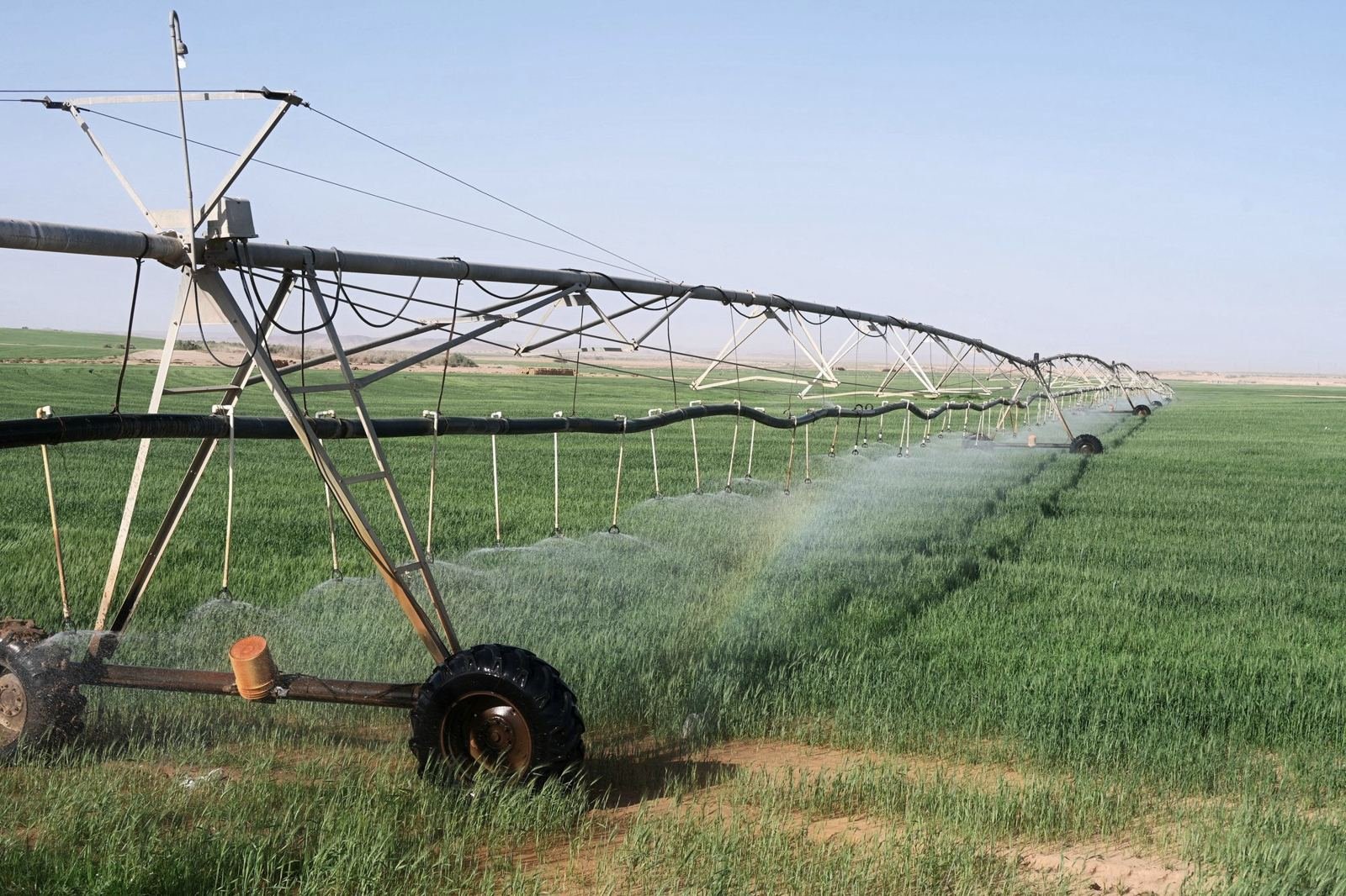Center pivot irrigation over a green field